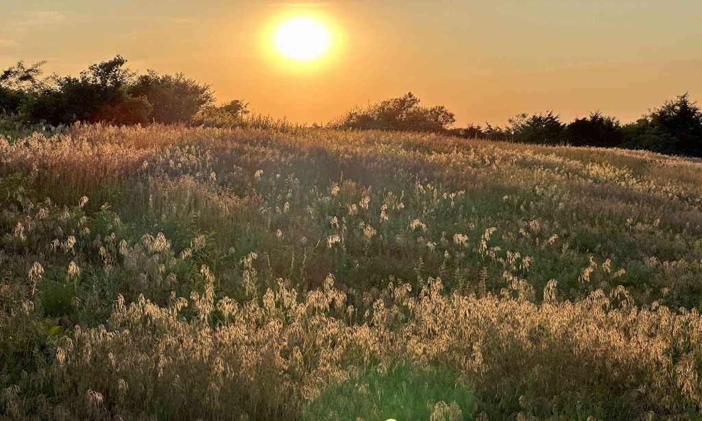 Hammonassett Sunset