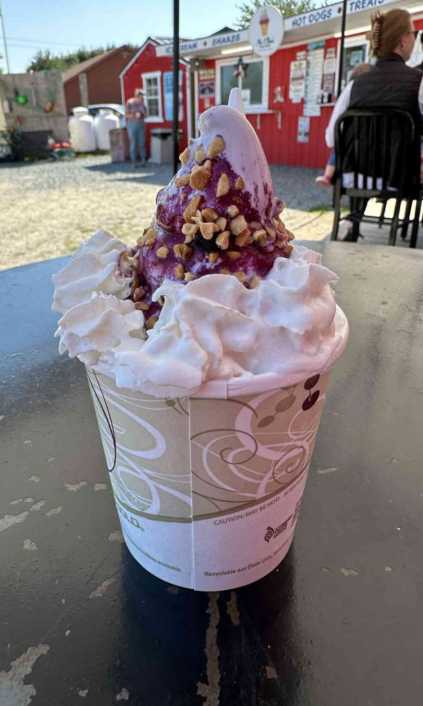 Blueberry Ice Cream Sundae