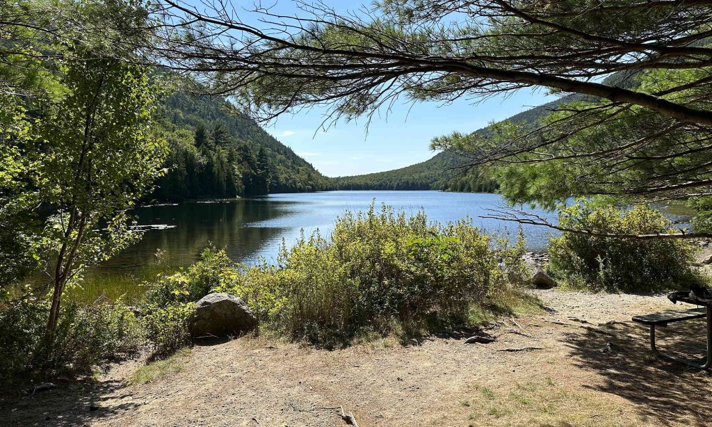 Bubble Pond