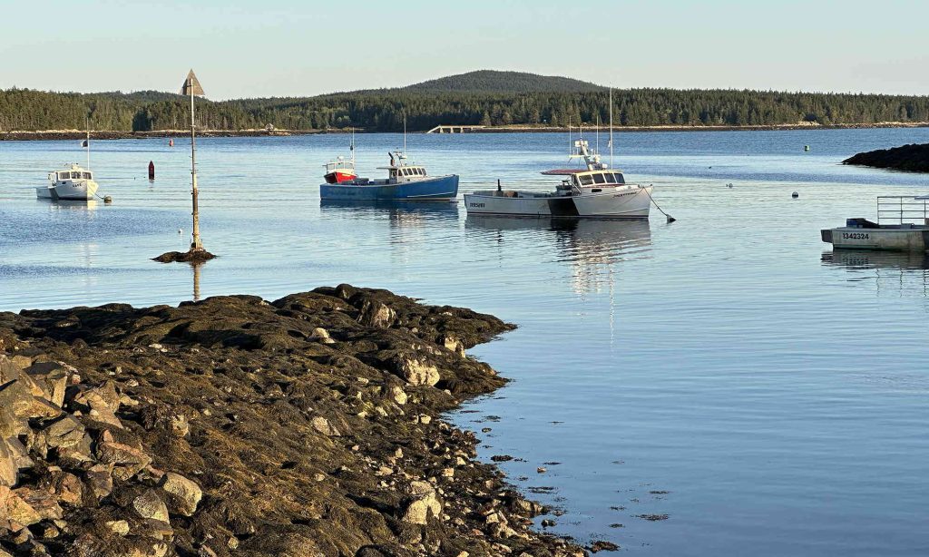 Winter Harbor