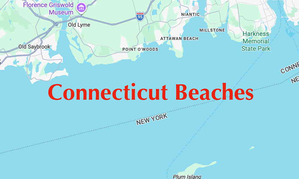 Connecticut Icon