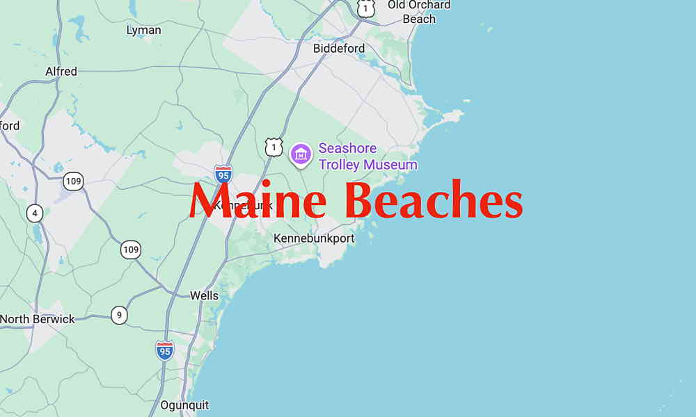 Maine Icon