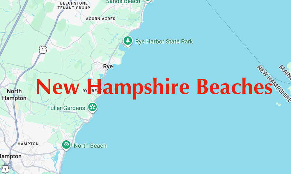New Hampshire Icon